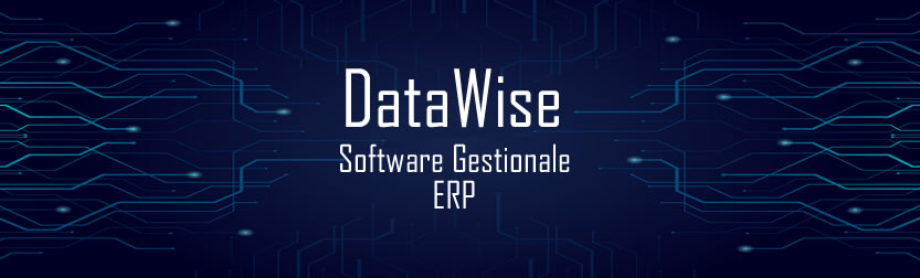 software gestionale